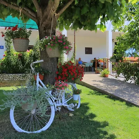 Apartment By The Sea Zivogosce - Blato, Makarska - 1057 Blato (Makarska)